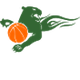 阿特劳飞豹B队logo